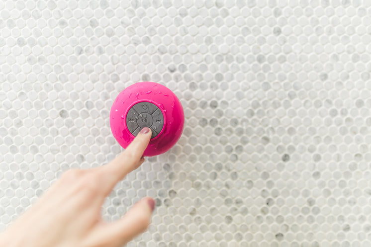 shower-speaker-stuck-to-wall.jpg?width=746&format=pjpg&exif=0&iptc=0