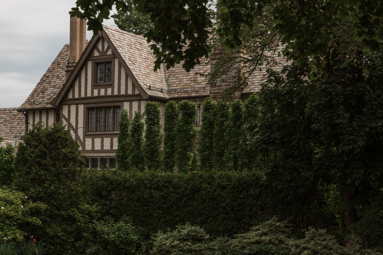 side-of-a-brown-house-with-tall-hedges-obscuring-view.jpg?width=746&format=pjpg&exif=0&iptc=0