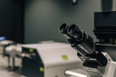 side of lab microscope