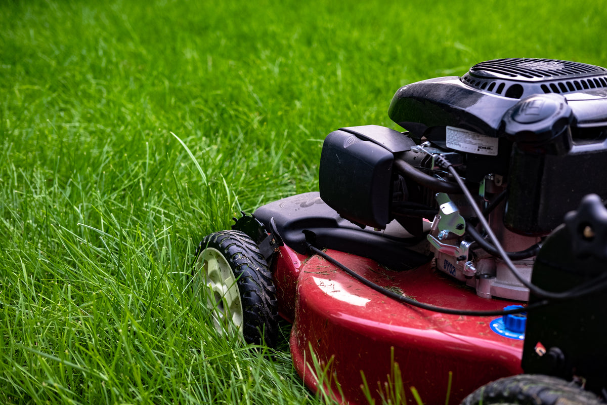 side view of lawn mower