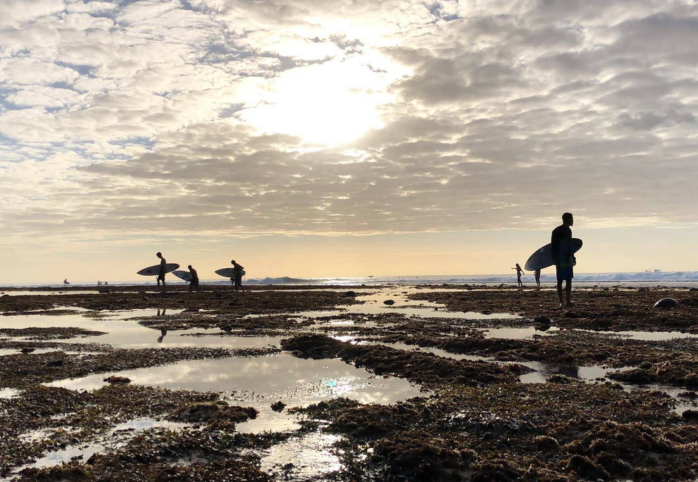 silhouette of people holding surfboards on beach