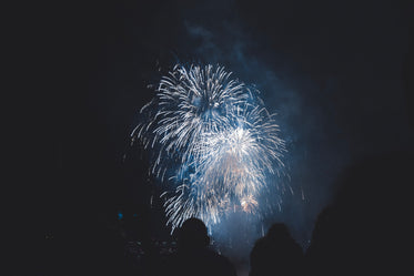 silhouette of people watching fireworks