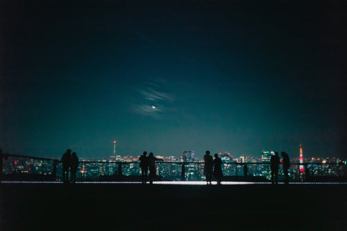 一对对情侣的剪影在夜晚眺望城市
