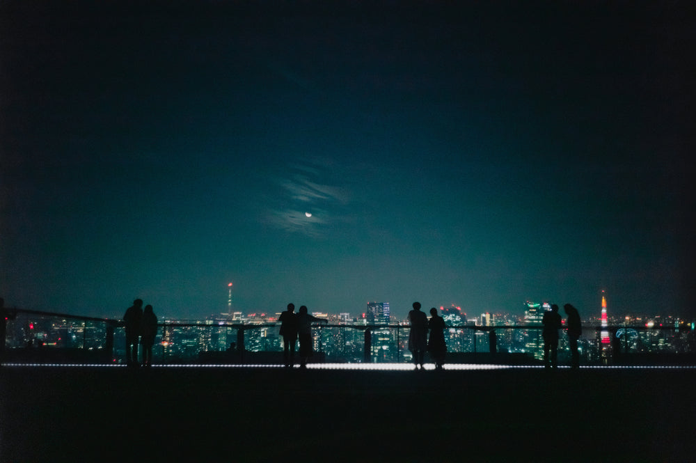 silhouetted couples look out at a city at night