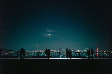 silhouetted couples look out at a city at night