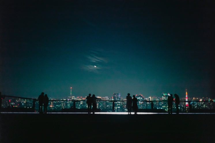 Silhouetted Couples Look Out At A City At Night