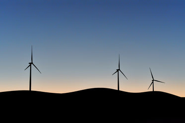 silhouettes of wind turbines