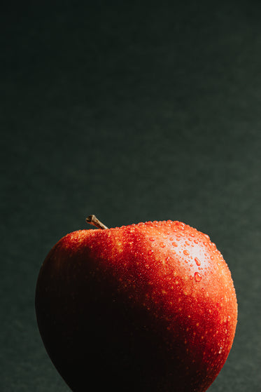 single crisp red apple with water droplet on it
