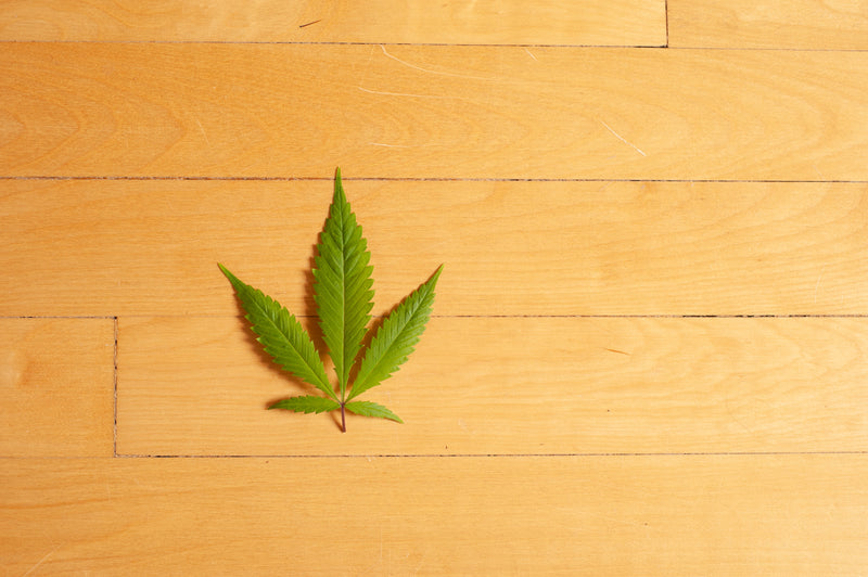 洗髮精 矽靈