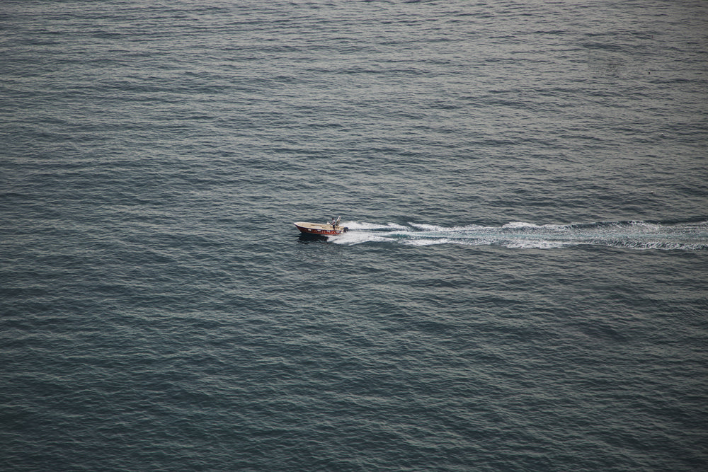 single speed boat on water