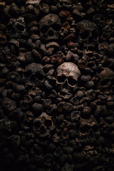 skulls and bones in darkness