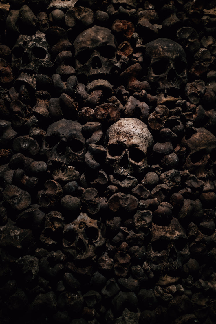 skulls-and-bones-in-darkness.jpg?width=746&format=pjpg&exif=0&iptc=0