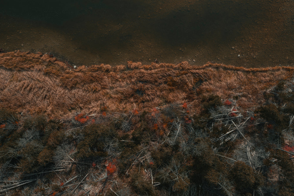 sky view of a river and the shoreline