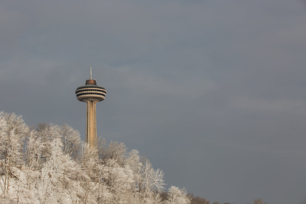 skylon tower and snowy trees