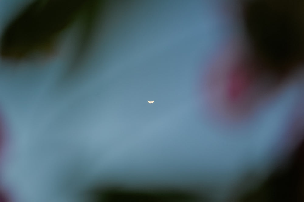 sliver of the moon in a blue sky
