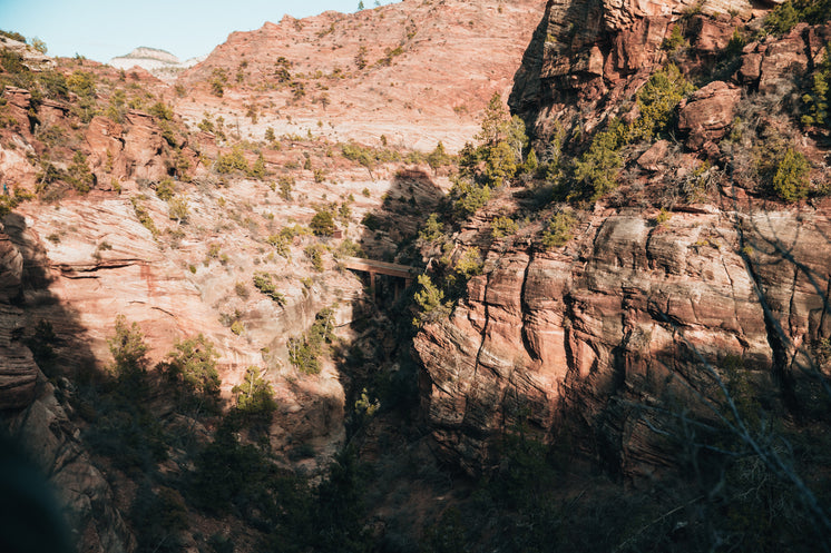 Small Bridge In Grand Canyon