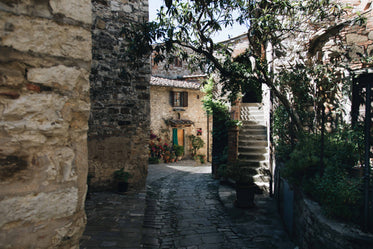 small cobbled street in the sun