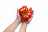 small hands cradle a very large tomato
