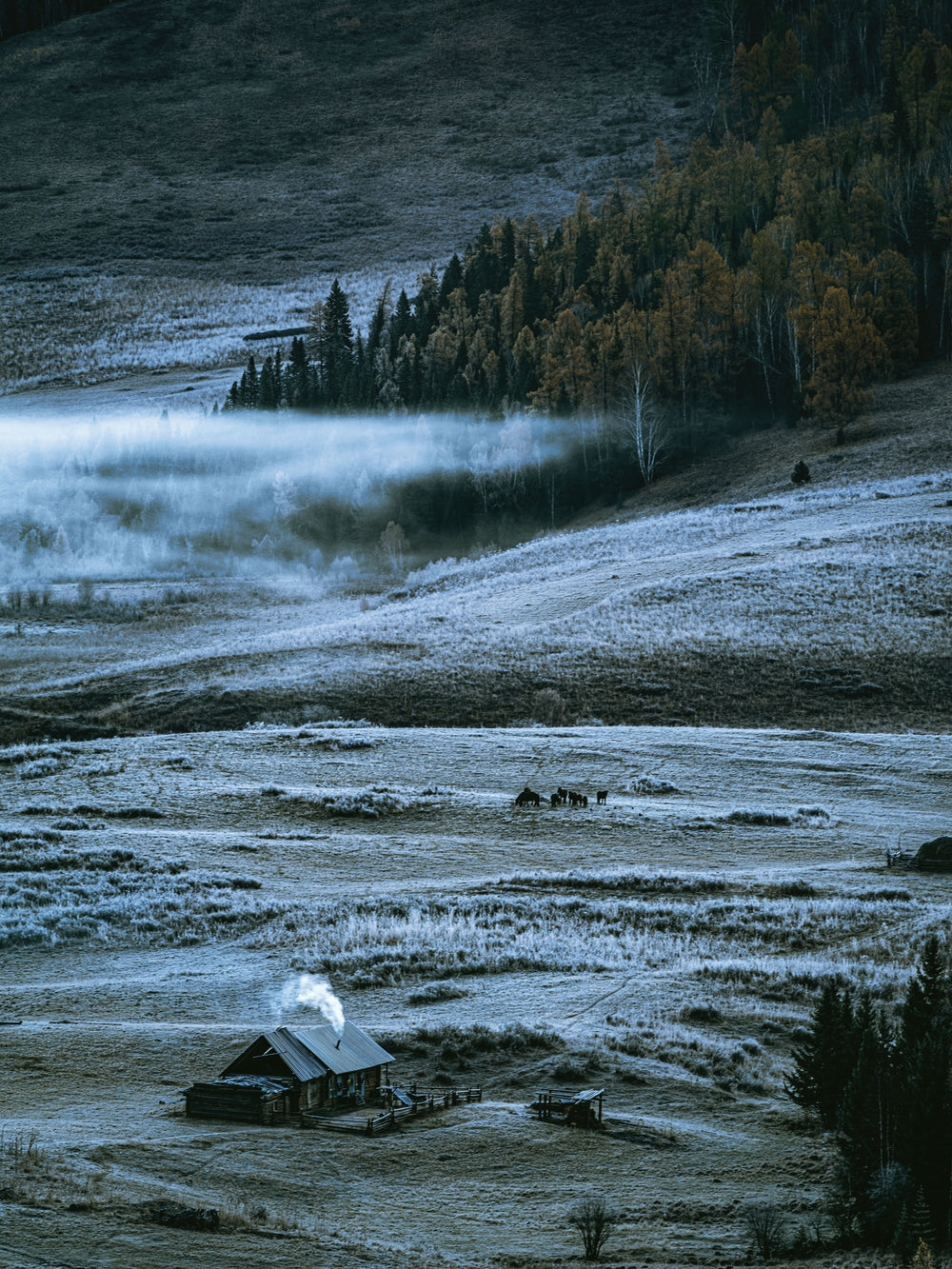 Small Home On A Frost Covered Hill