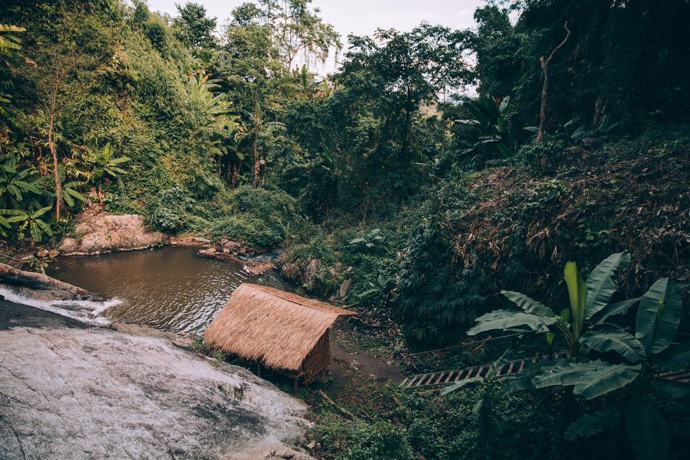 small hut beside water pool