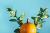 small orange pumpkin with green leaves behind