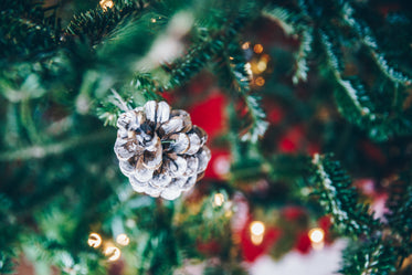 small pinecone ornament on tree