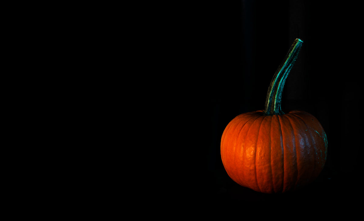 small pumpkin on a black background