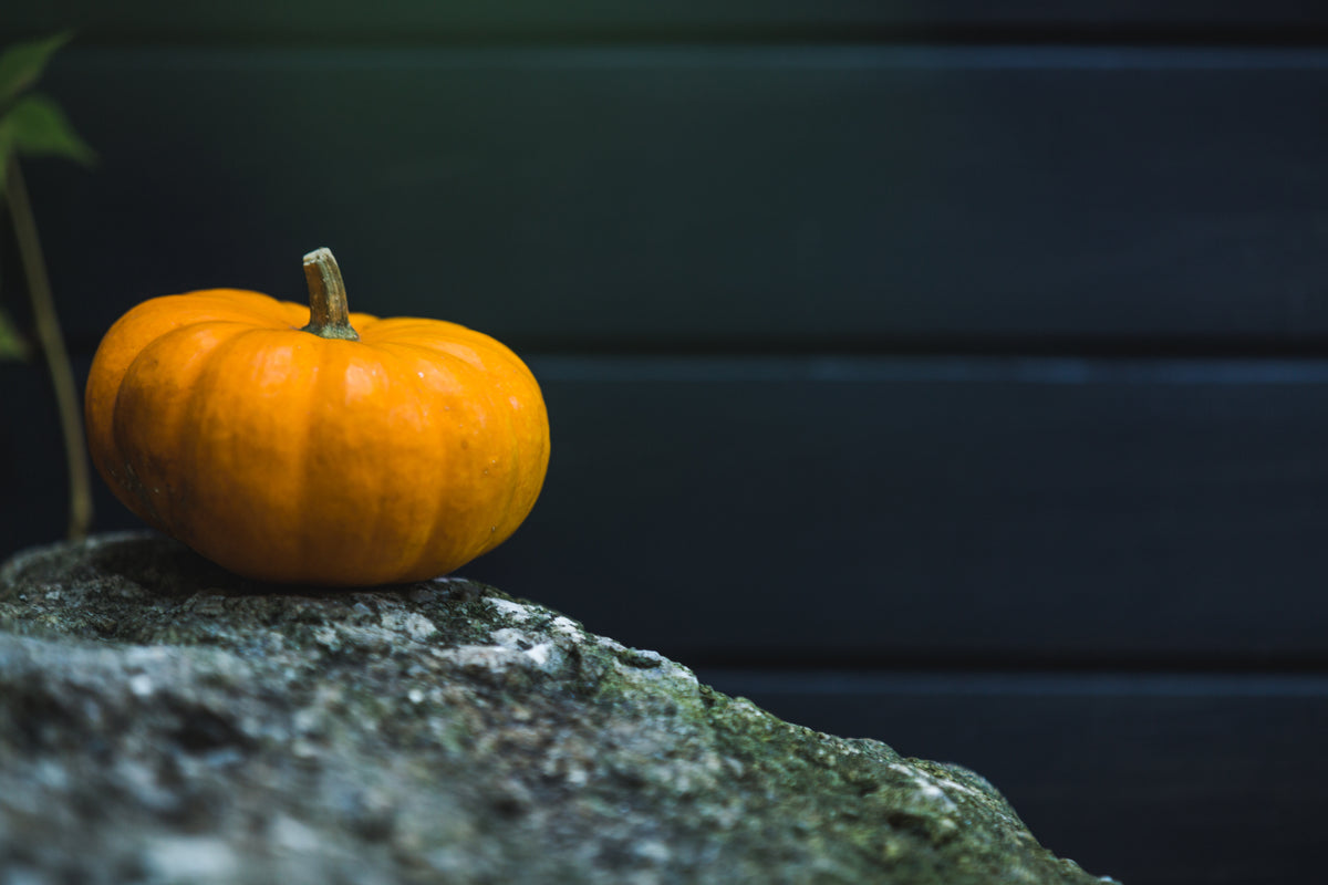 small pumpkin on stone