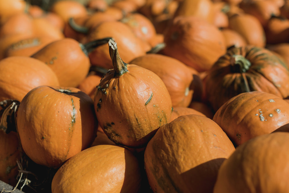 small pumpkins