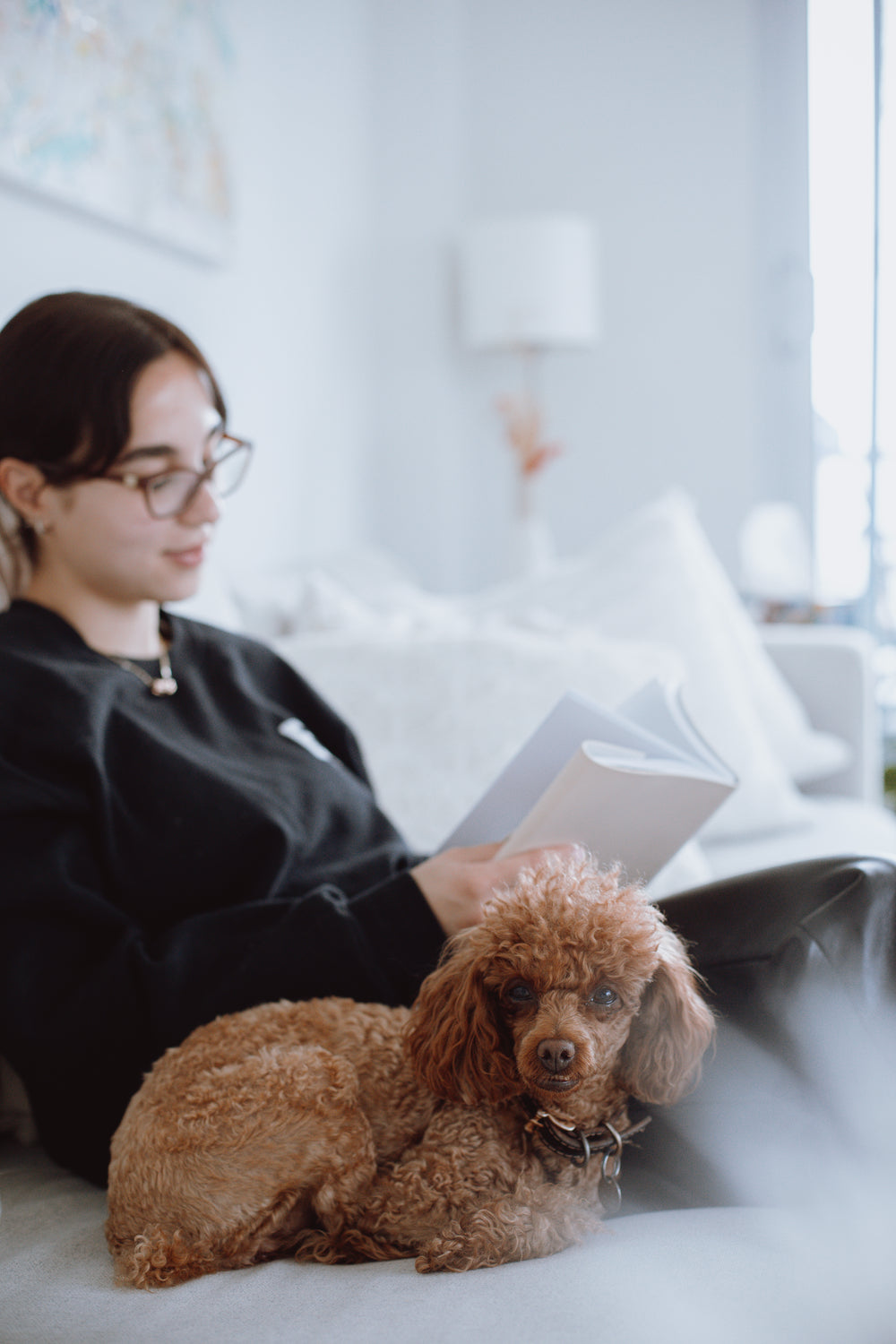 small puppy curls up next to person reading