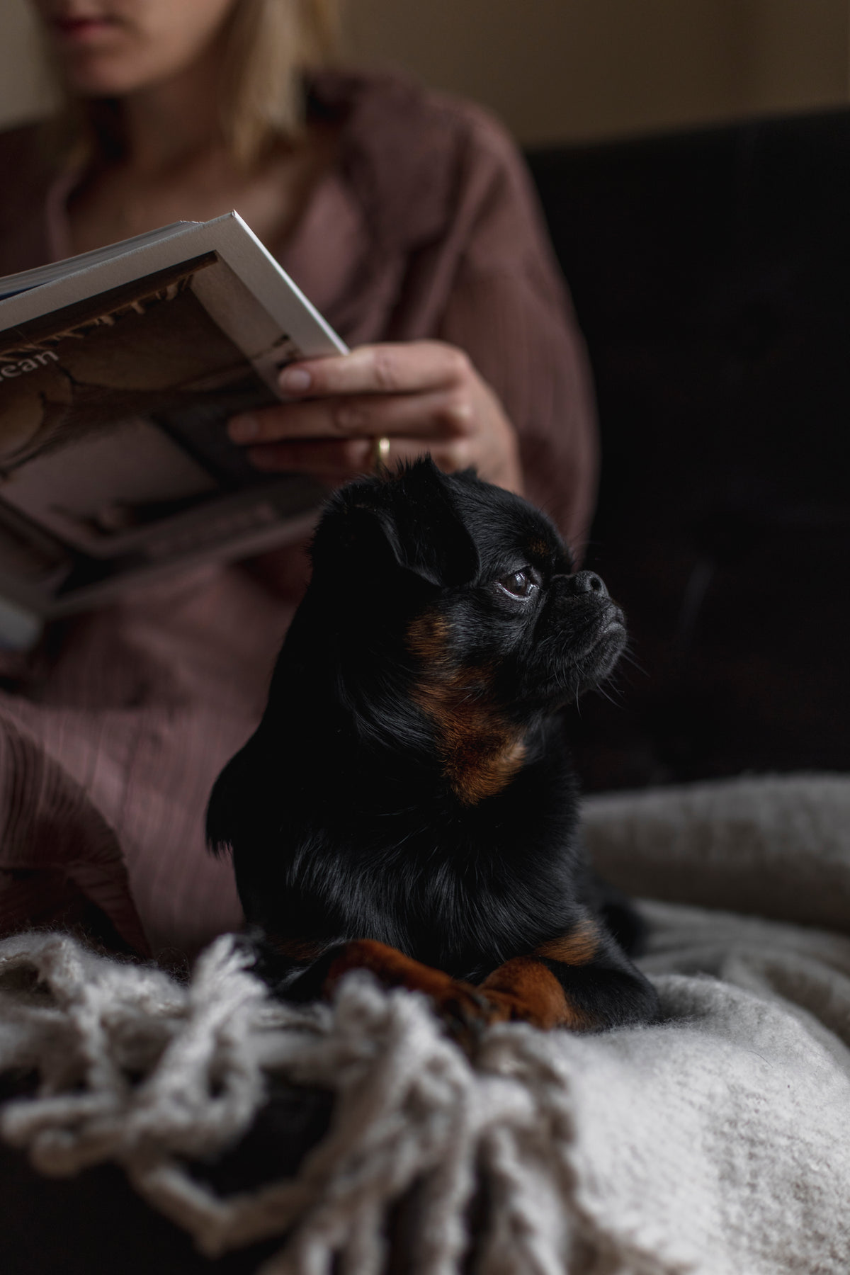 small puppy sits next to a person reading a book