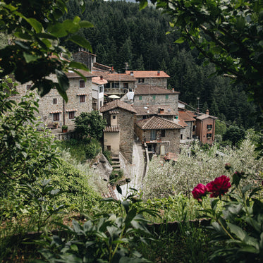 small road winds through hillside town