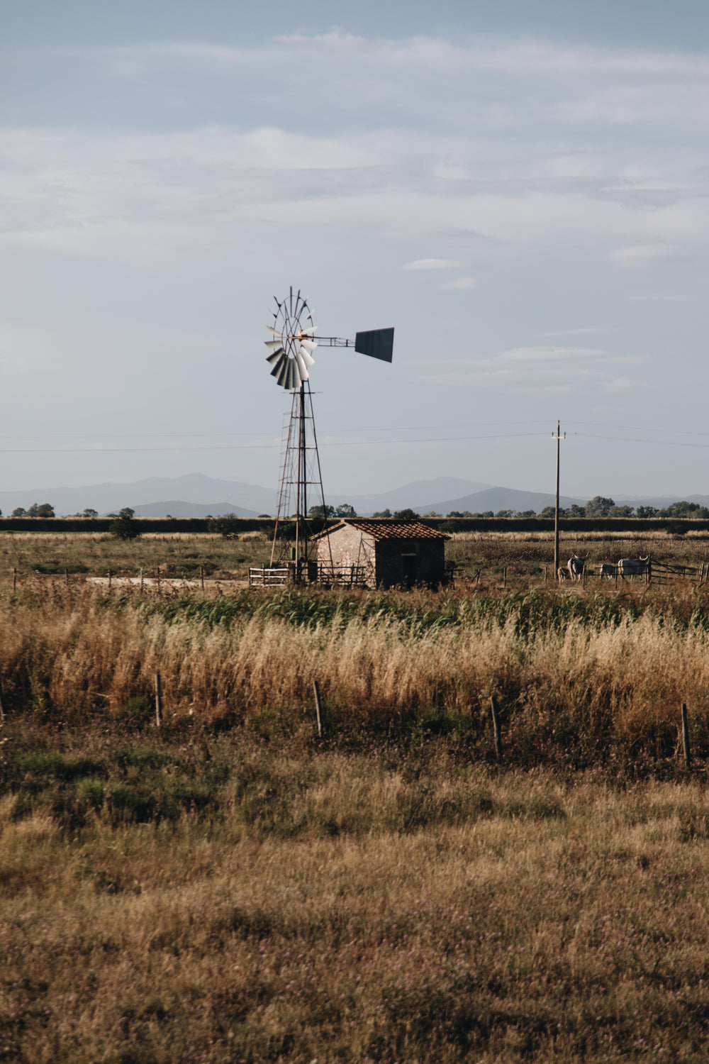 small rural building with windmill