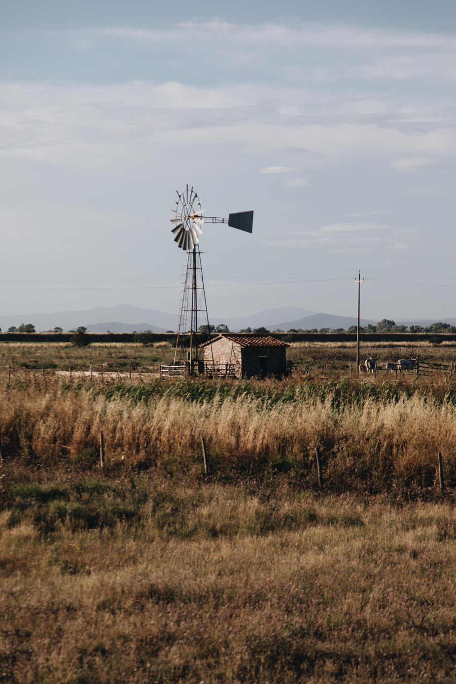 Browse Free HD Images of Small Rural Building With Windmill