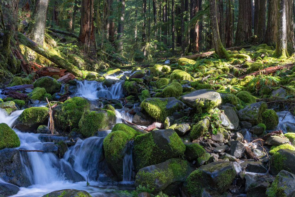 smooth water flowing over moss covered rocks