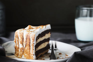 smores cake slice