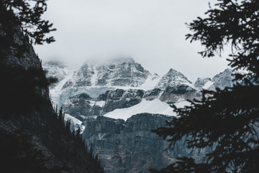 snow capped mountains seen through the trees