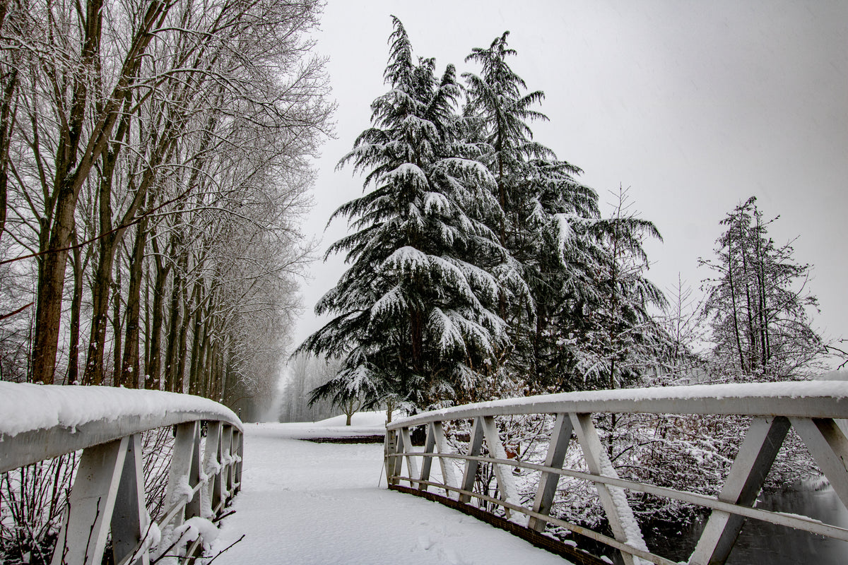 snow covered bridge leading to trees and pathway