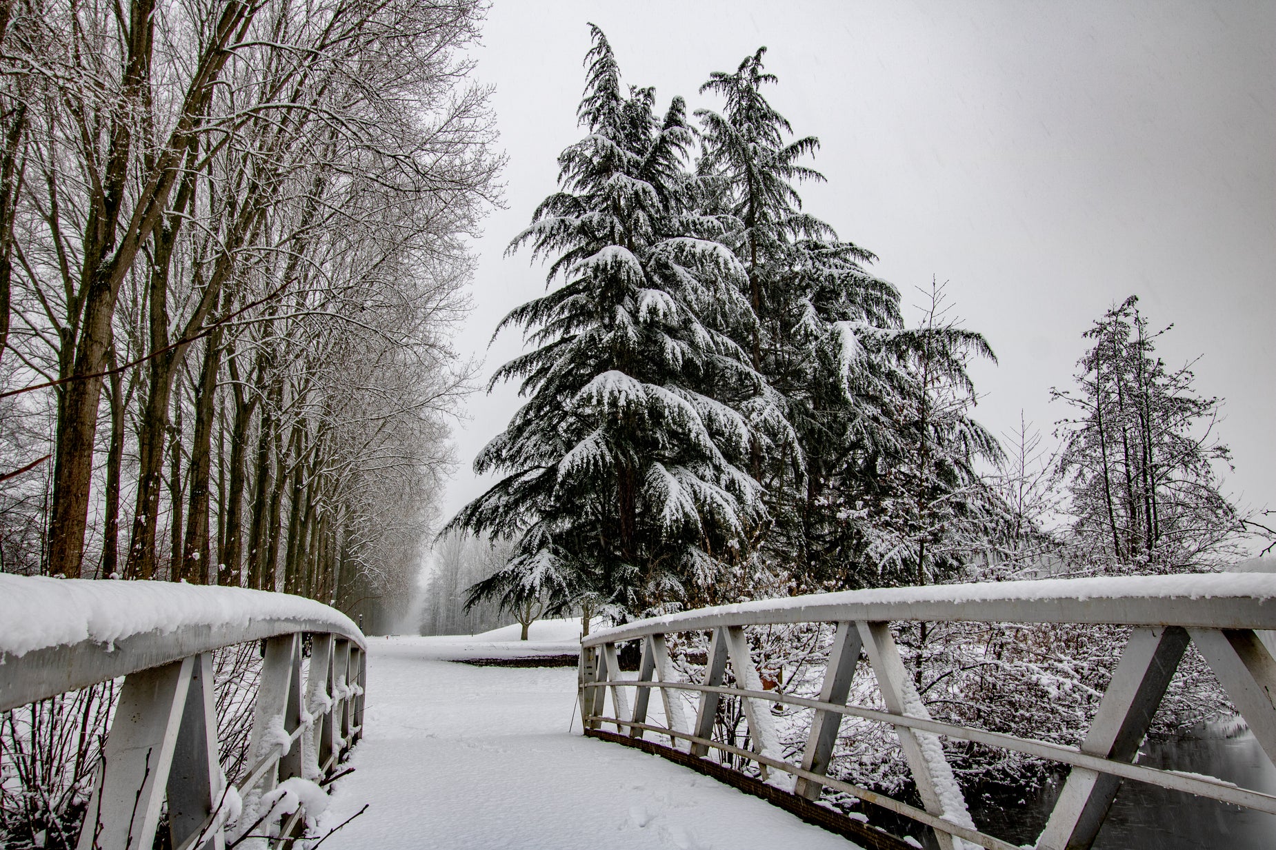 Bridge Snow Path Browse Free HD Images of Snow Covered Bridge Leading To Trees And Pathway