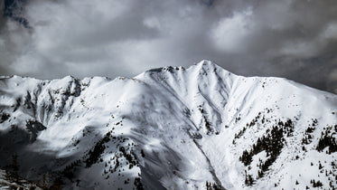snow covered mountain and scattered trees