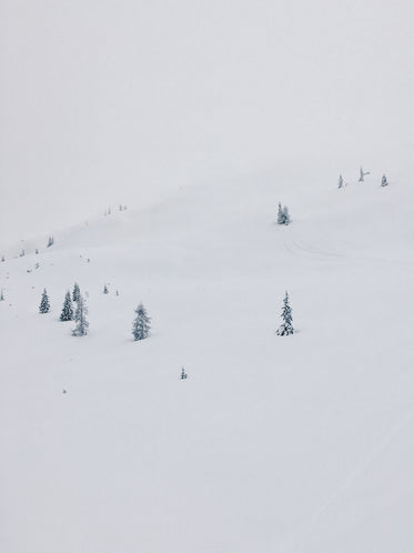 snow covered mountain