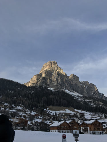 snow covered rooftops with a large mountain behind them