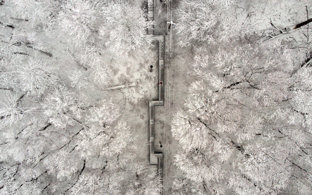 snow-covered stairs cut shapes through snow-capped trees