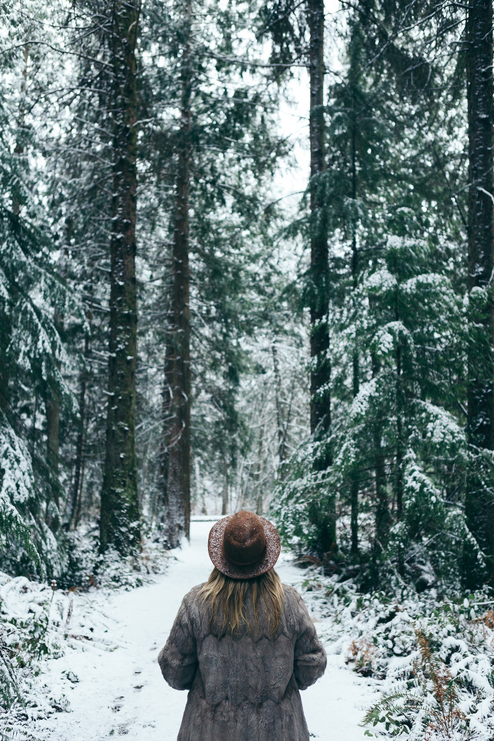 snow-covered trails of fantasy