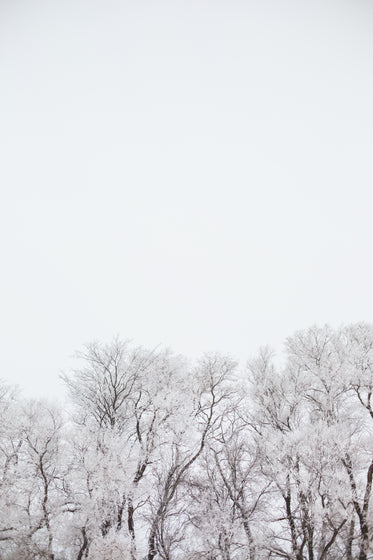 Free: Winter snow aesthetic iPhone wallpaper