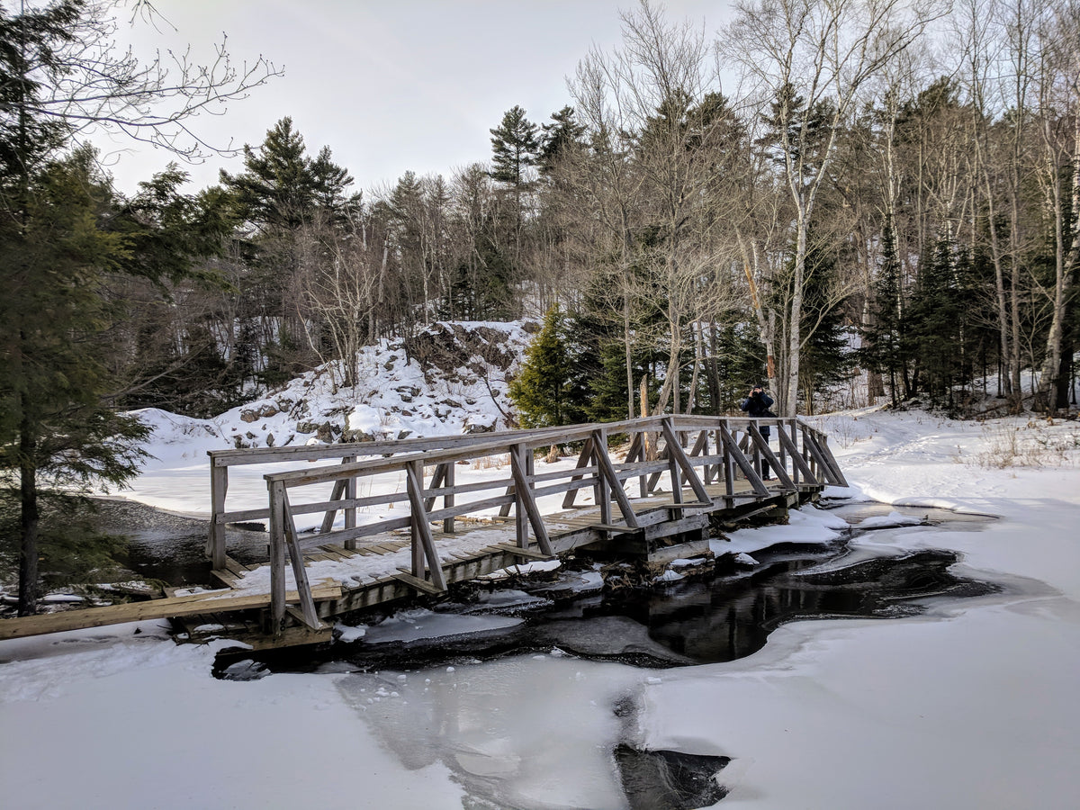 snow covered walking bridge in forest