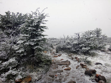 snow dusted rocky path in winter