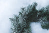 snow dusted wreath on white