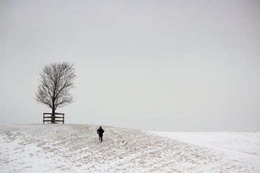 snowy hillside man and tree