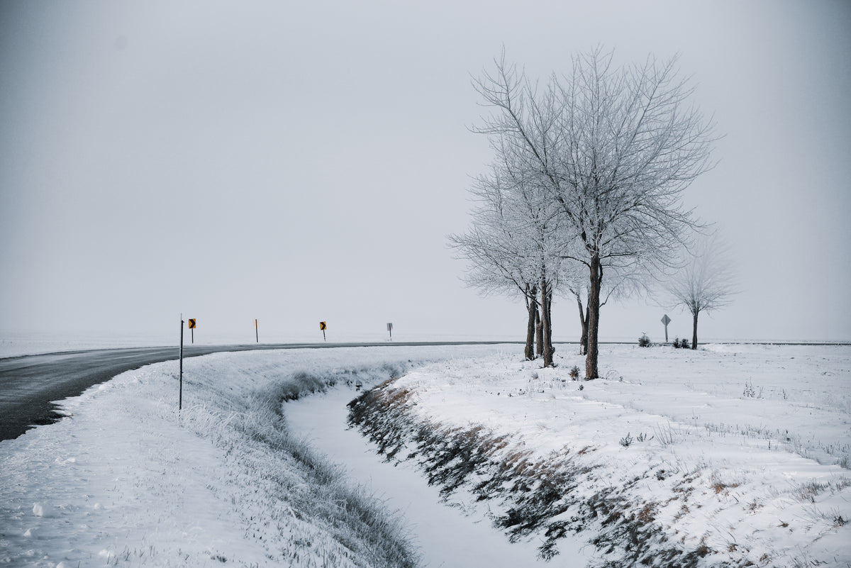 雪景的冬季道路弯曲的树木